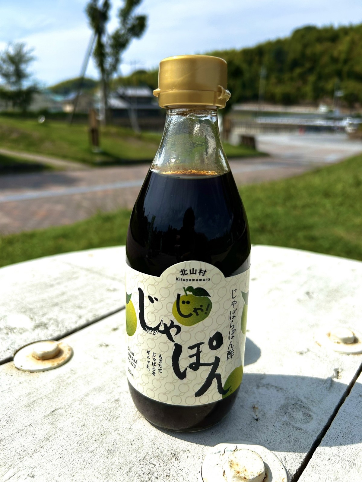 Photo_24-10-02-13-10-19.