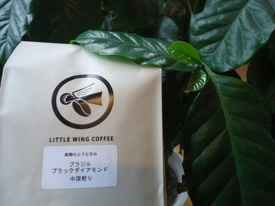 ブラック・ダイアモンド　ブラジル(豆のまま・160g)