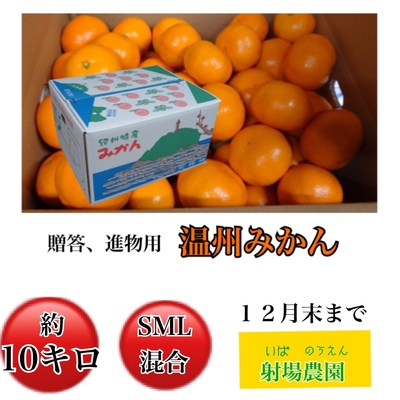 温州みかん進物用10kg(サイズSML混合)
