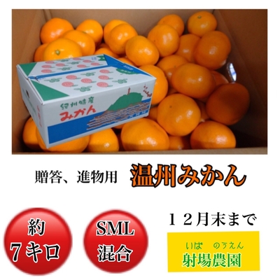 温州みかん進物用 7kg(サイズSML混合)