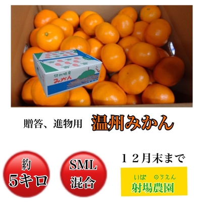 温州みかん進物用 ５kg(サイズSML混合)