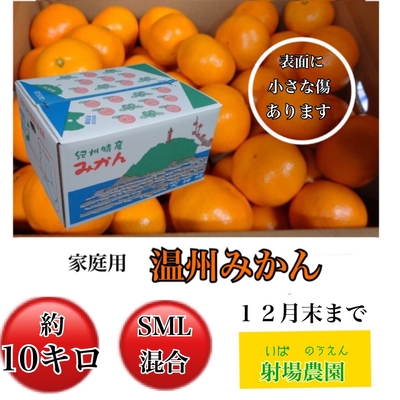 温州みかん 家庭用 10kg(サイズ混合)