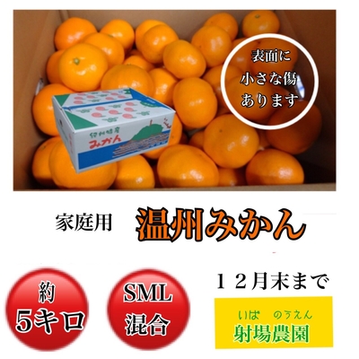 温州みかん 家庭用 5kg(サイズ混合)