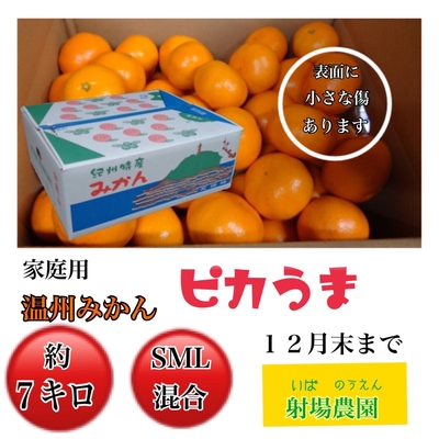 温州みかんピカうま 家庭用 7kg(サイズ混合)