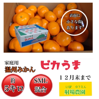 温州みかんピカうま 家庭用 5kg(サイズ混合)