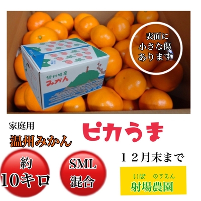 温州みかんピカうま 家庭用 10kg(サイズ混合)