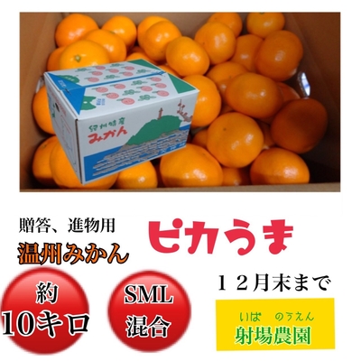 温州みかんピカうま進物用 10kg(サイズSML混合)