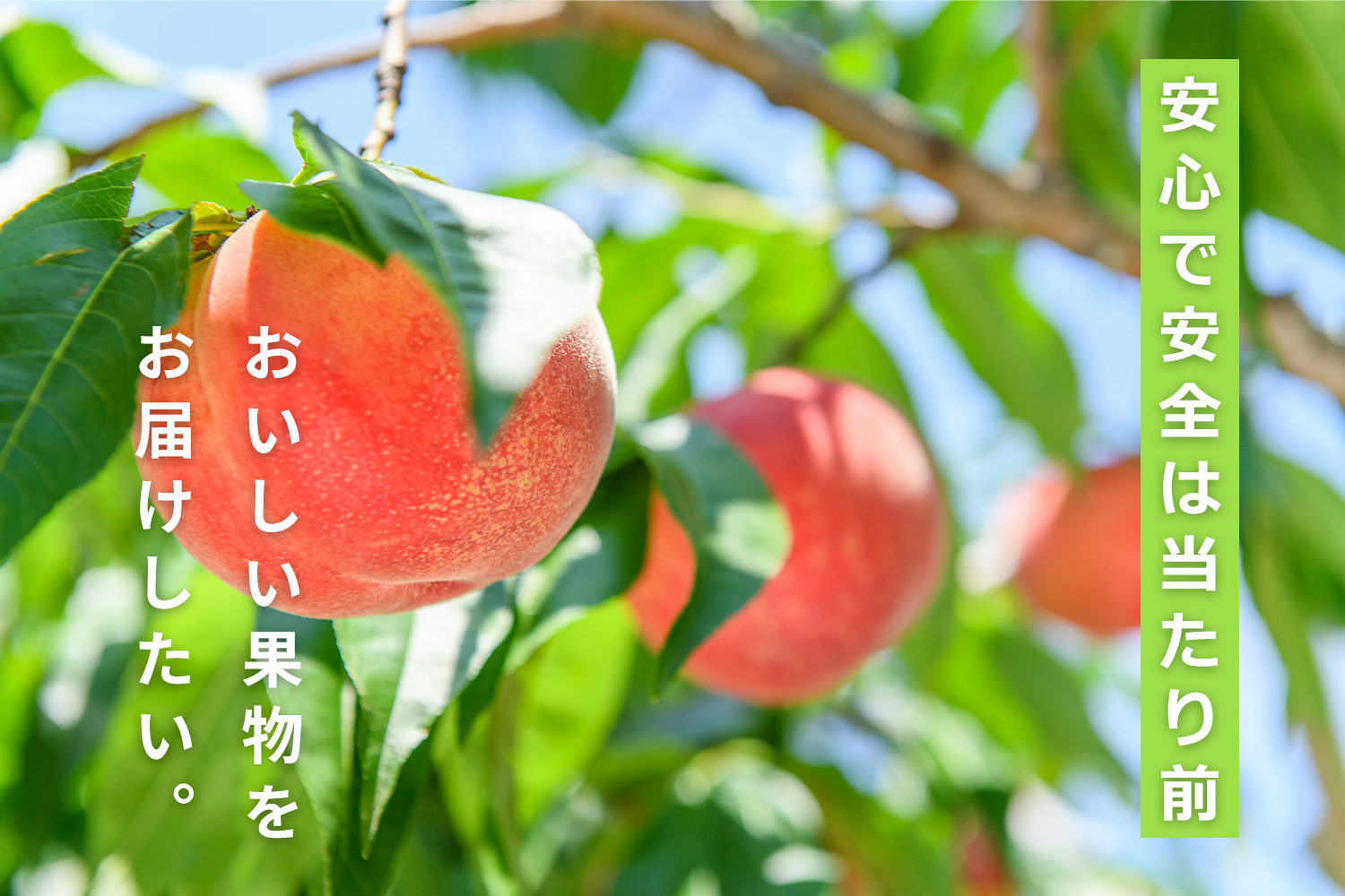 興隆園オンラインショップTOP