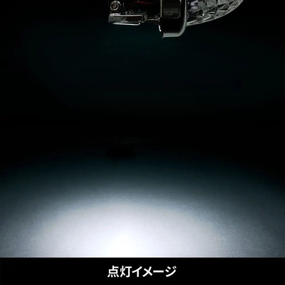 ハイパワーLEDダウンライトミニ 12/24V共用 ホワイト 634424
