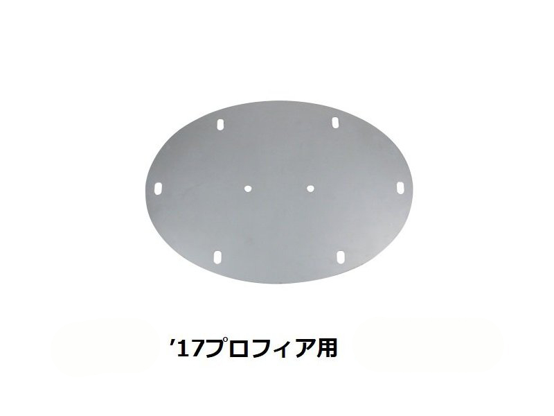 (*´꒳`*) 17プロフィア RL 17プロフィア用エンブレムプレート 鏡面 524454 | トラックショップ