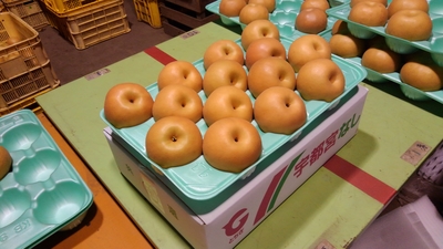 南水 5㎏ 秀 【A品】