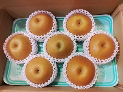 にっこり 5㎏ 秀 【A品】