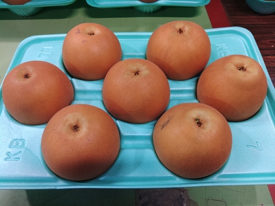 にっこり 5㎏箱 優【家庭用】