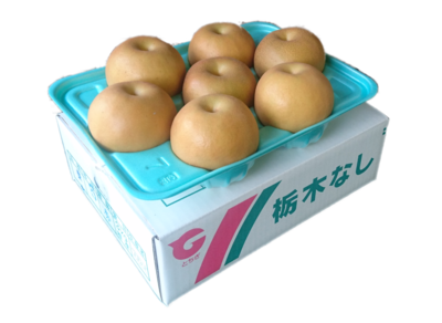 幸水 3㎏ 秀 【A品】