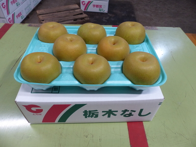 幸水 3㎏ 秀 【A品】