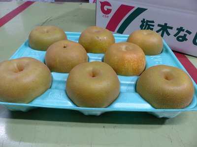 幸水 3㎏ 優 【B品、家庭用】
