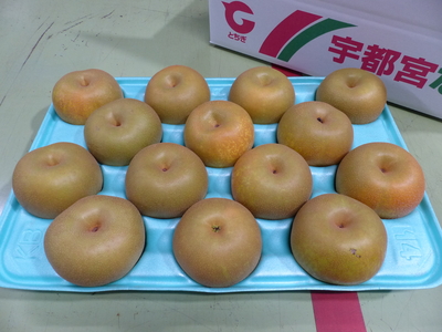 幸水 5㎏ 優 【B品、家庭用】
