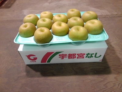 幸水 5㎏ 優 【B品、家庭用】