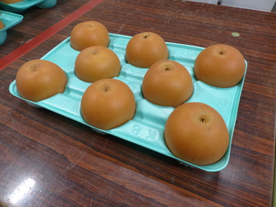 にっこり 5㎏箱 秀【贈答用】