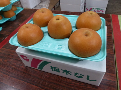 にっこり５個箱 秀 【贈答品】