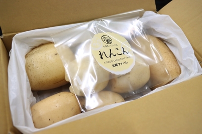 北郷ファームの無漂白れんこん　1.5ｋｇ
