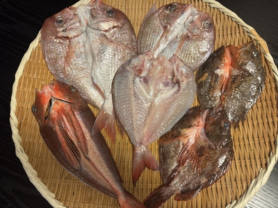 旬の天然釣り魚の干物おまかせ５枚セット