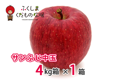サンふじ中玉 4Kg箱（15～17個入）×1箱