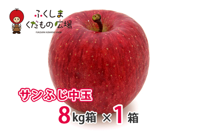 サンふじ中玉 8Kg箱（30～34個入）×1箱