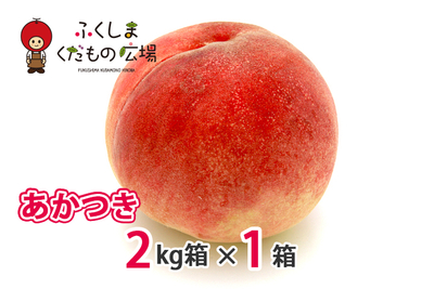 あかつき 2Kg箱（6～8個）×1箱（7月下旬より収穫）