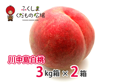 川中島白桃 3Kg箱（8～12個）×2箱（8月中旬より収穫）