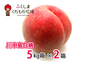 川中島白桃 5Kg箱（13～20個）×2箱（8月中旬より収穫）