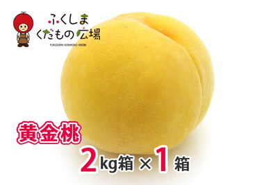 黄金桃 2Kg箱（6～8個）×1箱（8月中旬より収穫）