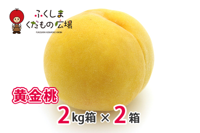 黄金桃 2Kg箱（6～8個）×2箱（8月中旬より収穫）