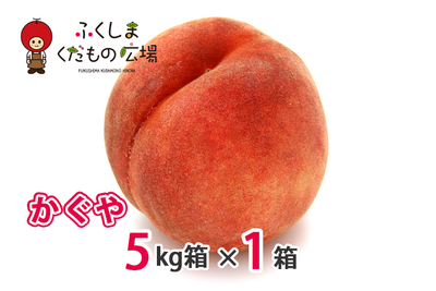 かぐや 5Kg箱（13～20個）×1箱（8月下旬より収穫）