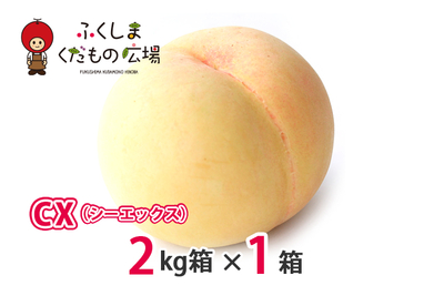 CX（シーエックス）2Kg箱（6～8個）×1箱（9月中旬より収穫）