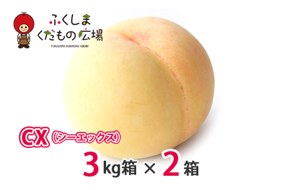 CX（シーエックス）3Kg箱（8～12個）×2箱（9月中旬より収穫）