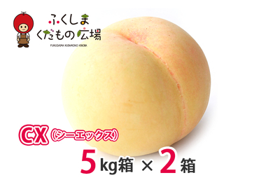 CX（シーエックス）5Kg箱（13～20個）×2箱（9月中旬より収穫）