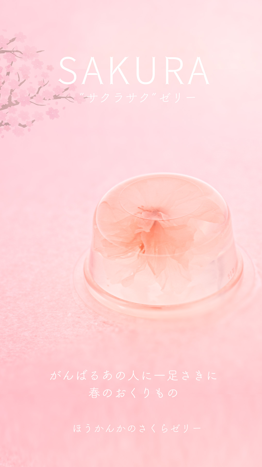 サクラサク』 さくらゼリー さくら豆 さくら蒸しどら | 落花生処 芳甘