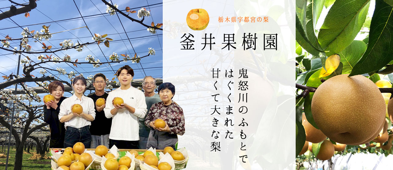 当園のご紹介