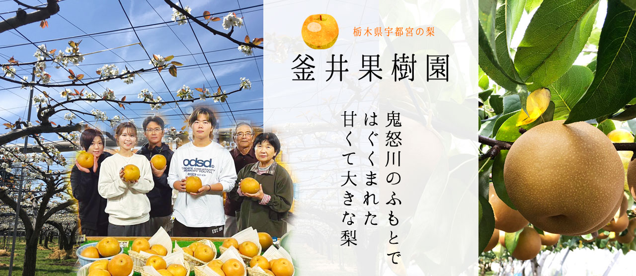 当園のご紹介