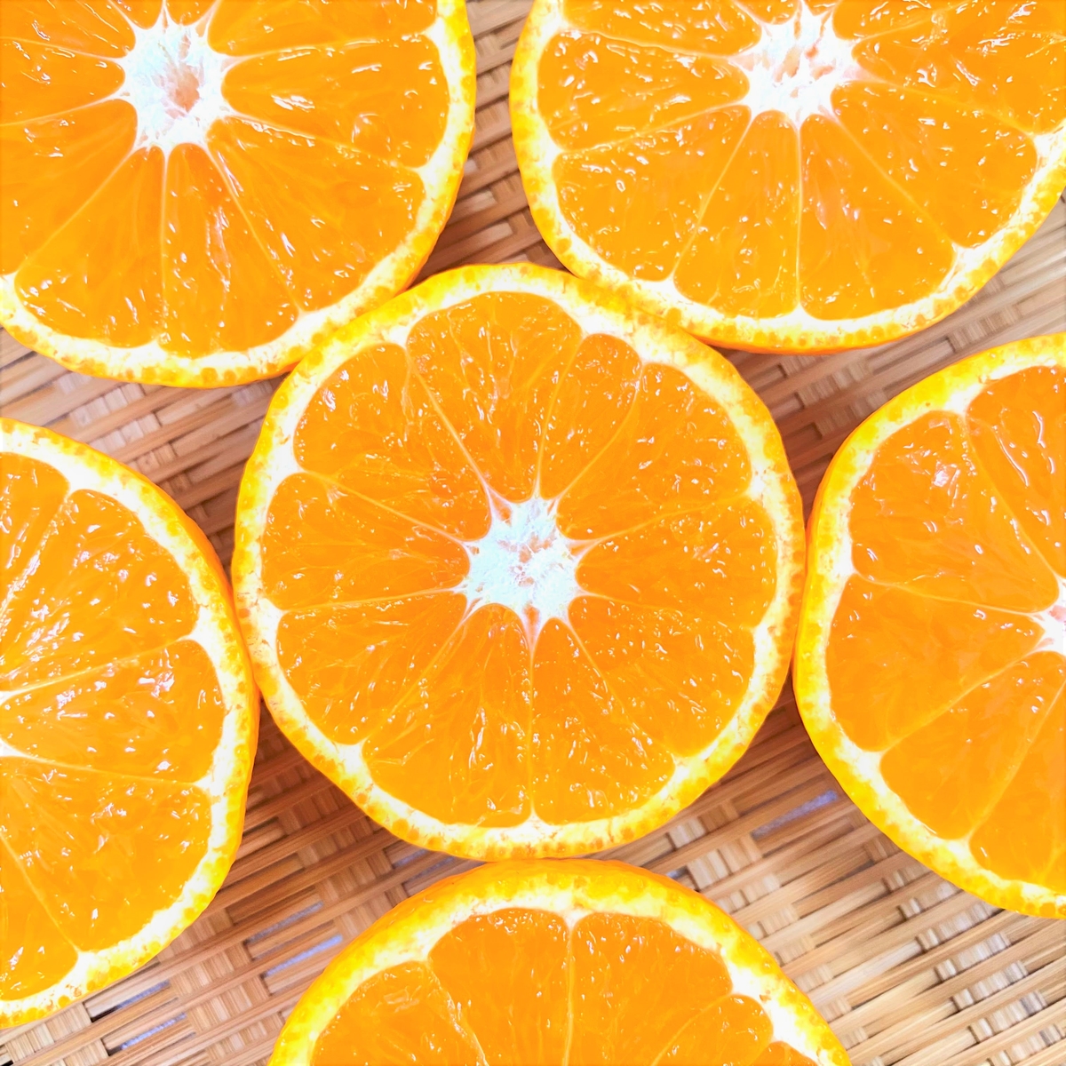 たかのみかん 品種 片山 風のらくがき10kg箱入り スズキ果物農園ネット たかのみかん 品種 片山 風のらくがき10kg箱入り スズキ果物農園ネット