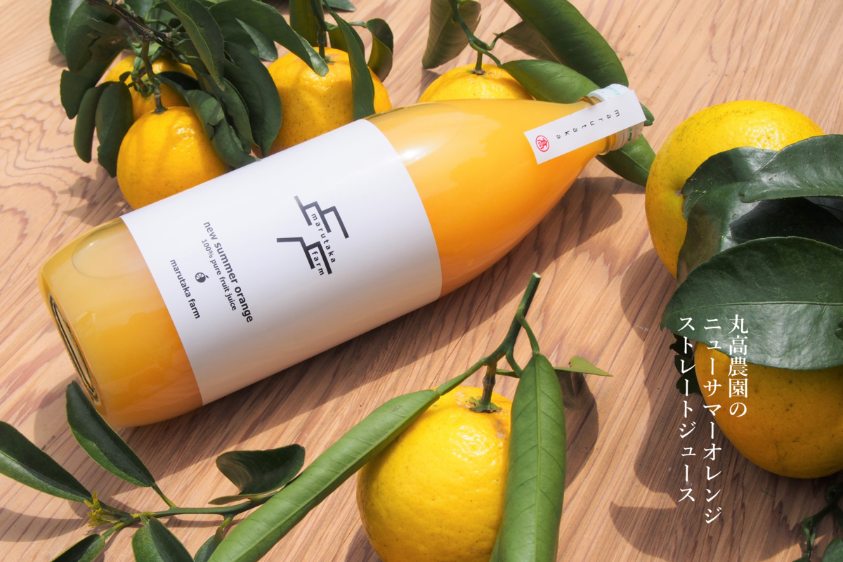 サマーセール。美芸中型丸 マルワフルーツ園芸