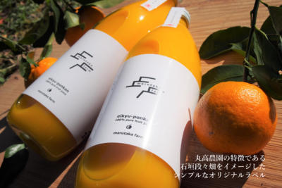 丸高農園の栄久ぽんかんストレートジュース 1本 | 丸高TT 農林