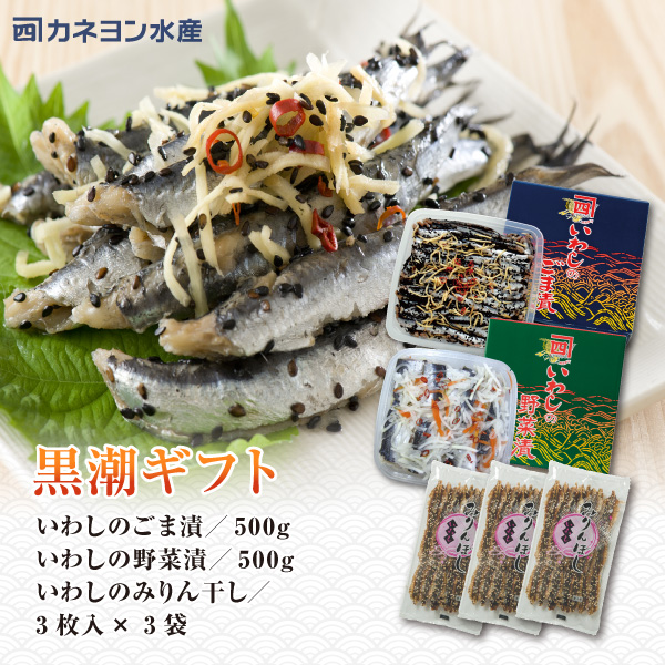 黒潮セット | カネヨン水産ONLINE