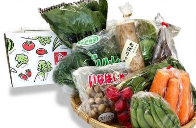 【特別価格】季節の野菜ボックス 〔地場産プラザわったいな〕