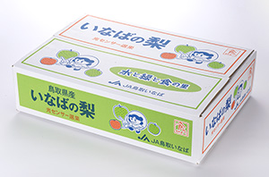 〔いなば選果場〕二十世紀梨