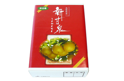 新甘泉