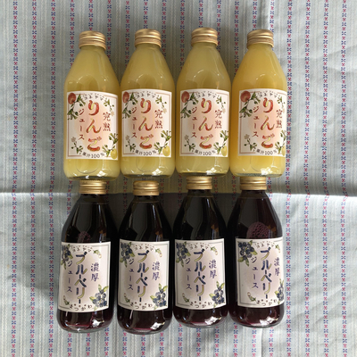 ジュースセット(りんご&ブルーベリー)/250ml/8本入