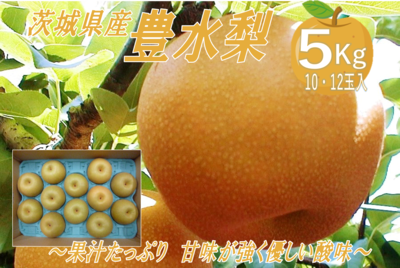 豊水梨５kg箱(10玉または12玉)