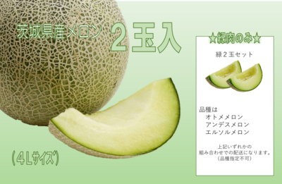 【特秀】緑肉のみ！　メロン４Lサイズ２玉入